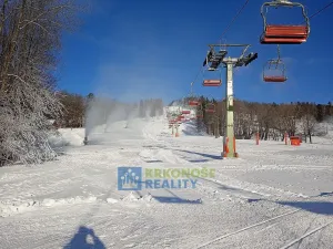 Prodej chaty, Černý Důl, 340 m2