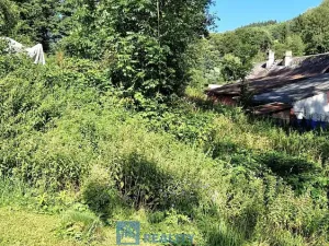 Prodej louky, Trutnov - Babí, 6930 m2