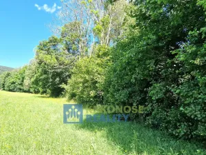 Prodej louky, Trutnov - Babí, 68585 m2