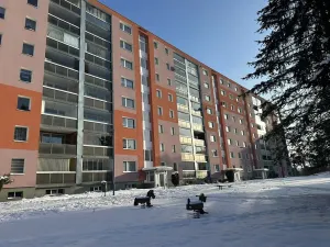 Prodej bytu 3+1, Tanvald, U Lesíka, 70 m2