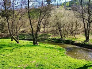 Prodej chaty, Všechlapy, 50 m2