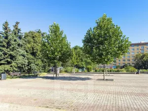 Pronájem bytu 1+kk, Praha - Vršovice, Kubánské náměstí, 19 m2