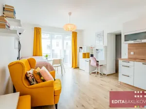 Pronájem bytu 1+kk, Olomouc, Eduarda Hamburgera, 33 m2