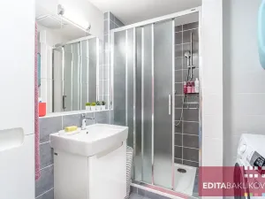 Pronájem bytu 1+kk, Olomouc, Eduarda Hamburgera, 33 m2