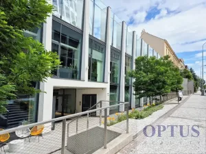 Pronájem bytu 5+kk, Praha - Smíchov, Holečkova, 212 m2