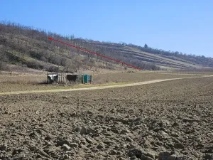 Prodej sadu/vinice, Velké Němčice, 3259 m2