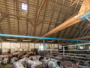 Prodej zemědělského objektu, Okrouhlice, Valečov, 25561 m2