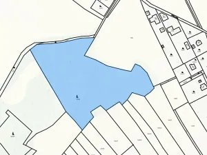 Prodej lesa, Jílové u Prahy, 15458 m2