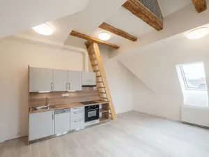 Pronájem bytu 1+kk, Liberec - Liberec III-Jeřáb, Americká, 44 m2