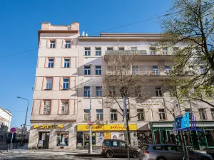 Pronájem bytu 1+kk, Praha - Vinohrady, Jana Masaryka, 32 m2