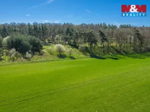 Prodej pole, Benátky nad Jizerou - Benátky nad Jizerou II, 8786 m2