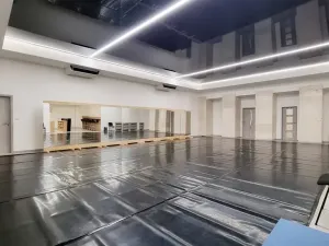 Pronájem komerční nemovitosti, Brno, Sukova, 233 m2