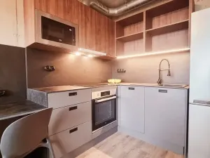 Pronájem bytu 1+kk, Brno, V rejích, 20 m2