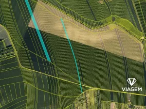 Prodej podílu pole, Bučovice, 1084 m2