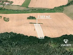 Prodej pole, Sedliště, 7553 m2