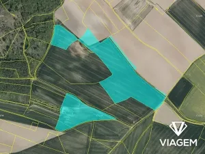 Prodej podílu pole, Zaloňov, 3977 m2