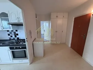 Pronájem bytu 2+1, Plzeň, Terezie Brzkové, 64 m2