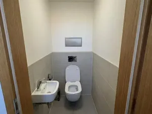 Pronájem pokoje, Praha - Holešovice, Kouteckého, 20 m2