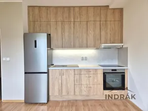 Pronájem bytu 1+kk, Nový Jičín, B. Martinů, 36 m2