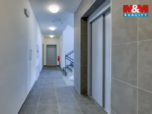 Pronájem bytu 2+kk, Dobřany, 53 m2