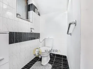 Prodej rodinného domu, Neratovice, K. H. Máchy, 406 m2