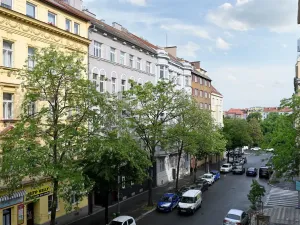Pronájem bytu 2+1, Praha - Vinohrady, Lucemburská, 81 m2