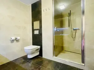 Pronájem bytu 1+kk, Brno, Cihlářská, 38 m2