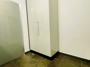 Pronájem bytu 1+kk, Brno, Cihlářská, 38 m2