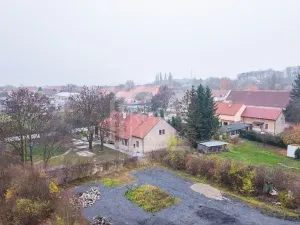 Prodej podílu pozemku, Třebíz, 161602 m2