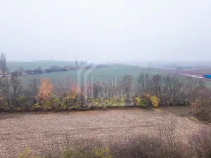 Prodej podílu pozemku, Třebíz, 161602 m2