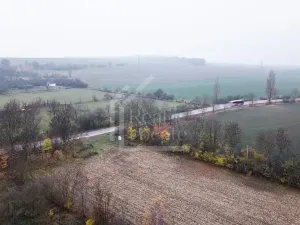 Prodej podílu pozemku, Třebíz, 161602 m2