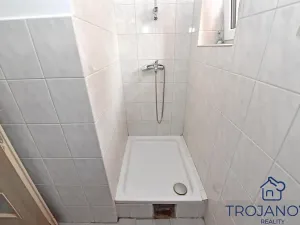 Prodej činžovního domu, Petroupim, 306 m2