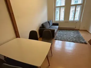 Pronájem bytu 1+1, Praha - Žižkov, Seifertova, 32 m2