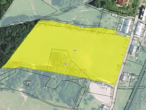 Prodej pozemku pro bydlení, Loučná nad Desnou, 36840 m2