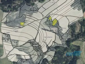 Prodej lesa, Zábřeh, 78836 m2