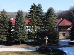 Prodej komerční nemovitosti, Tvarožná Lhota, 667 m2