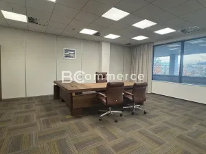 Pronájem kanceláře, Brno, Holandská, 240 m2