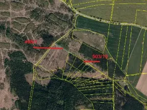 Prodej lesa, Otín, 928 m2