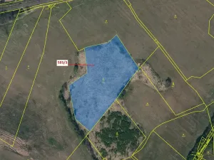 Dražba lesa, Počátky, 9119 m2