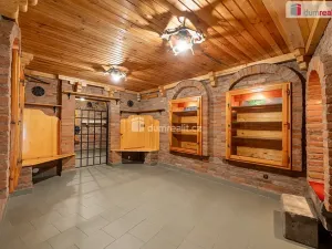 Pronájem obchodního prostoru, Mladá Boleslav, Viničná, 107 m2