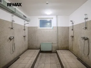 Prodej výrobních prostor, Plzeň, Dopravní, 9469 m2