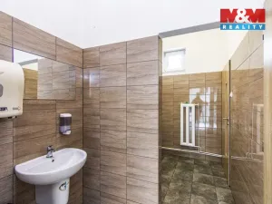 Prodej restaurace, Slezské Rudoltice, 360 m2