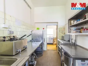 Prodej restaurace, Slezské Rudoltice, 360 m2