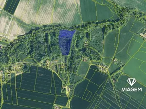 Prodej podílu lesa, Sobotka, 2241 m2