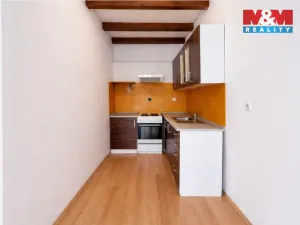 Pronájem bytu 1+kk, Kolín - Kolín I, Karlova, 25 m2