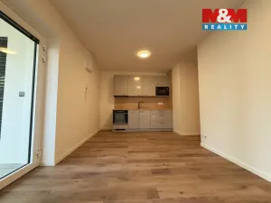 Pronájem bytu 2+kk, Brno - Husovice, Svitavská, 34 m2