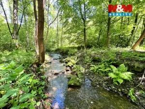 Prodej rybníku, Skalice u České Lípy, 3255 m2