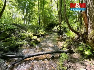 Prodej rybníku, Skalice u České Lípy, 3255 m2