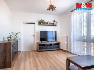 Prodej bytu 3+1, Veselí nad Lužnicí - Veselí nad Lužnicí I, Pod Markem, 62 m2
