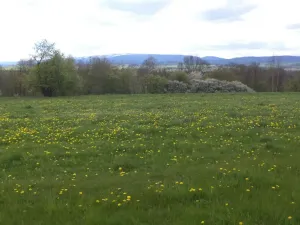 Prodej pozemku, Staré Město - Nová Véska, 10063 m2